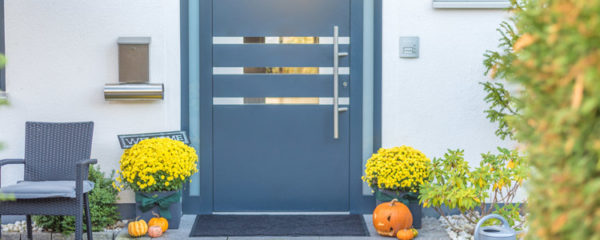 porte aluminium
